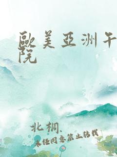 欧美亚洲午夜影院