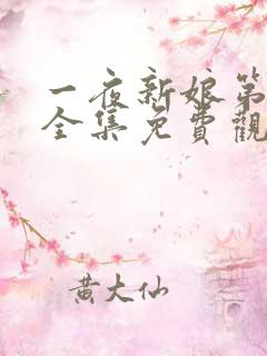 一夜新娘第三季全集免费观看电视剧