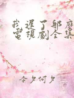 我迟了那么多年电视剧全集免费播放