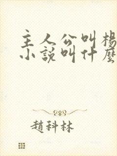 主人公叫杨洛的小说叫什么名字