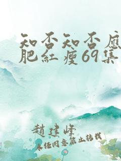 知否知否应是绿肥红瘦69集免费观看