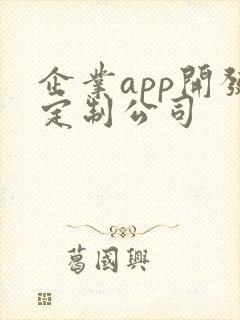 企业app开发定制公司