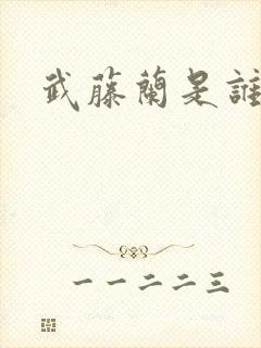武藤兰是谁?