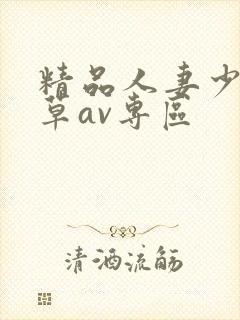 精品人妻少妇嫩草av专区