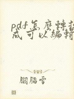 pdf怎么转换成可以编辑的文字