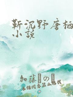 靳沉野唐栖雾的小说