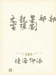 文龙是哪部抗日电视剧
