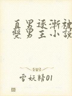 直男逐渐被掰弯双男主小说