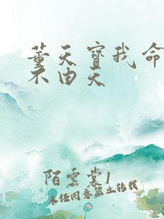 董天宝我命由我不由天