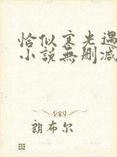 恰似寒光遇骄阳小说无删减