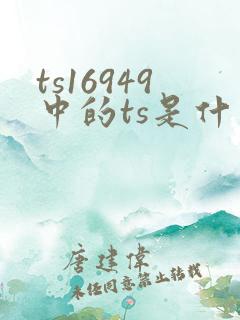 ts16949中的ts是什么意思