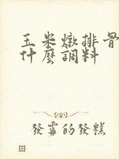 玉米炖排骨需要什么调料