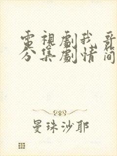 电视剧我哥我嫂分集剧情简介