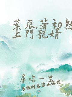 叶辰,萧初然 上门龙婿