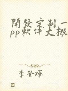 开发定制一个app软件大概多少钱