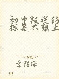 初中叛逆的孩子总是不想上学