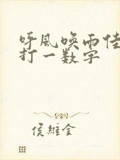 呼风唤雨佳中宫打一数字