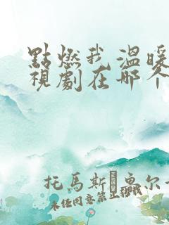 点燃我温暖你电视剧在哪个卫视播出