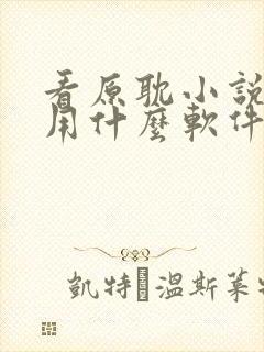 看原耽小说免费用什么软件