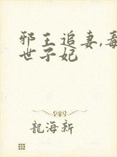 邪王追妻,毒医世子妃