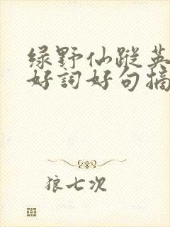 绿野仙踪英文版好词好句摘抄