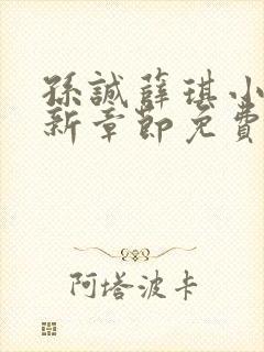 孙诚薛琪小说最新章节免费阅读