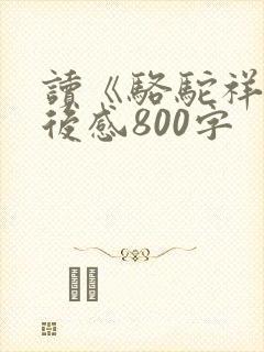 读《骆驼祥子》后感800字
