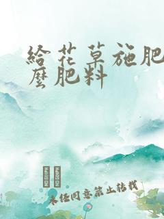 给花草施肥用什么肥料