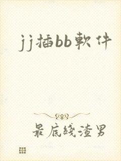 jj插bb软件