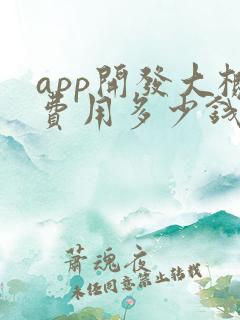app开发大概费用多少钱