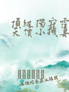 顶级独宠霍爷的天价小拽妻全文免费阅读