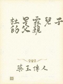 杜星霖儿子马丁的父亲