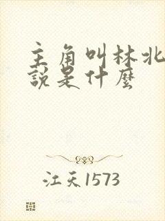 主角叫林北的小说是什么