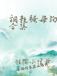 调教骚母狗小说合集