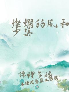 灿烂的风和海多少集