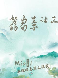 努力生活正能量的句子
