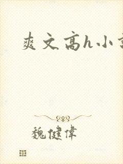 爽文高h小说