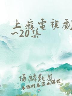 上瘾电视剧16~20集