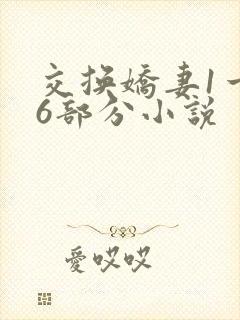 交换娇妻1一36部分小说