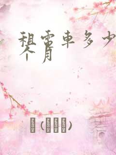 租电车多少钱一个月