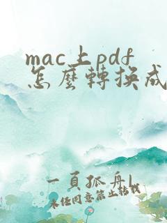 mac上pdf怎么转换成word