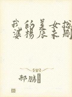 我的美女总裁老婆杨辰未删减版