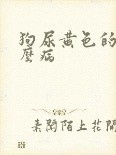 狗尿黄色的尿什么病