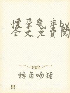 怀孕几率by雁全文免费阅读