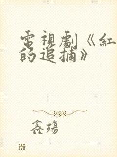 电视剧《红岩下的追捕》