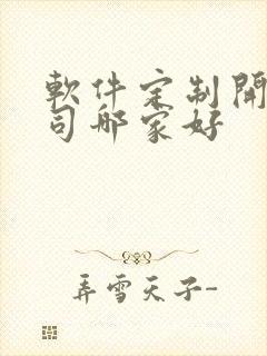 软件定制开发公司哪家好