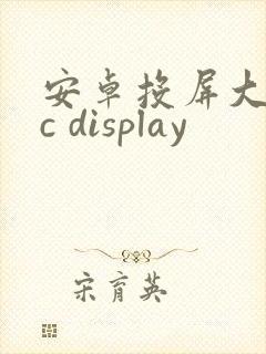安卓投屏大师tc display