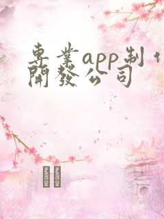 专业app制作开发公司