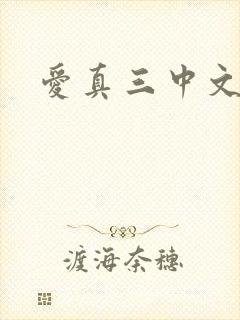 爱真三中文网