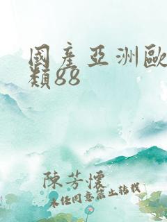 国产亚洲欧洲另类88